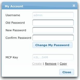 MCP API Key