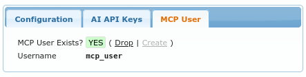 MCP User